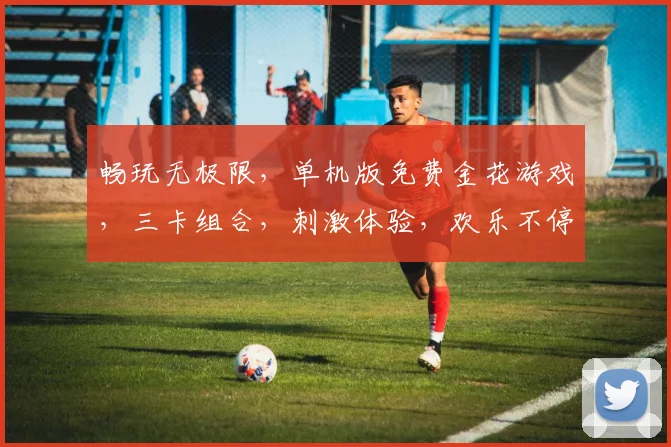 畅玩无极限，单机版免费金花游戏，三卡组合，刺激体验，欢乐不停，尽在指尖