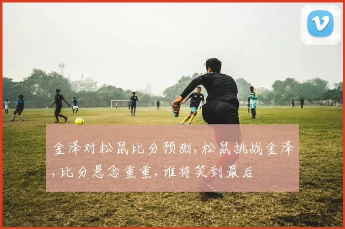 金泽对松鼠比分预测,松鼠挑战金泽,比分悬念重重,谁将笑到最后
